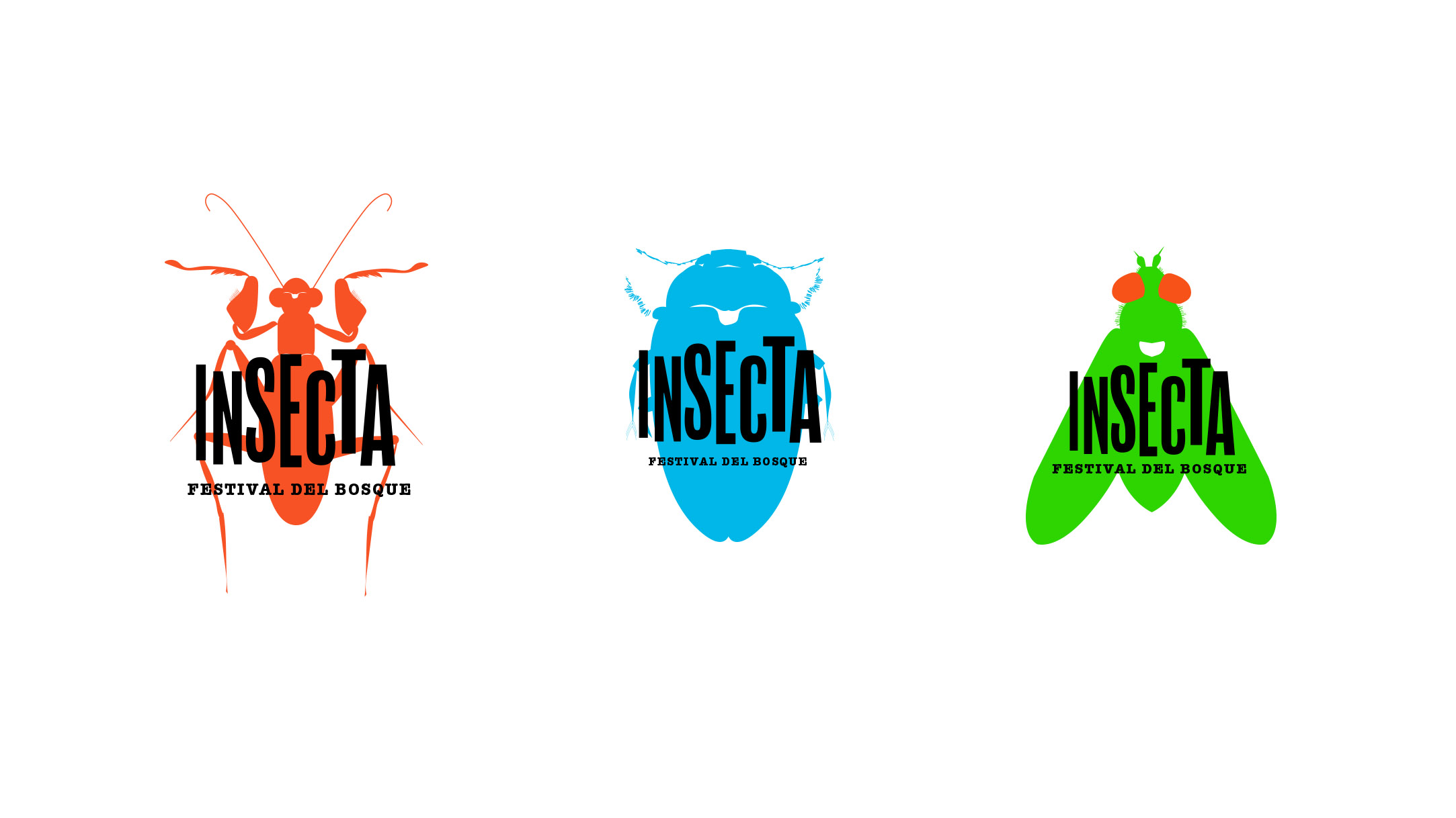 insecta cartones caso-logo2