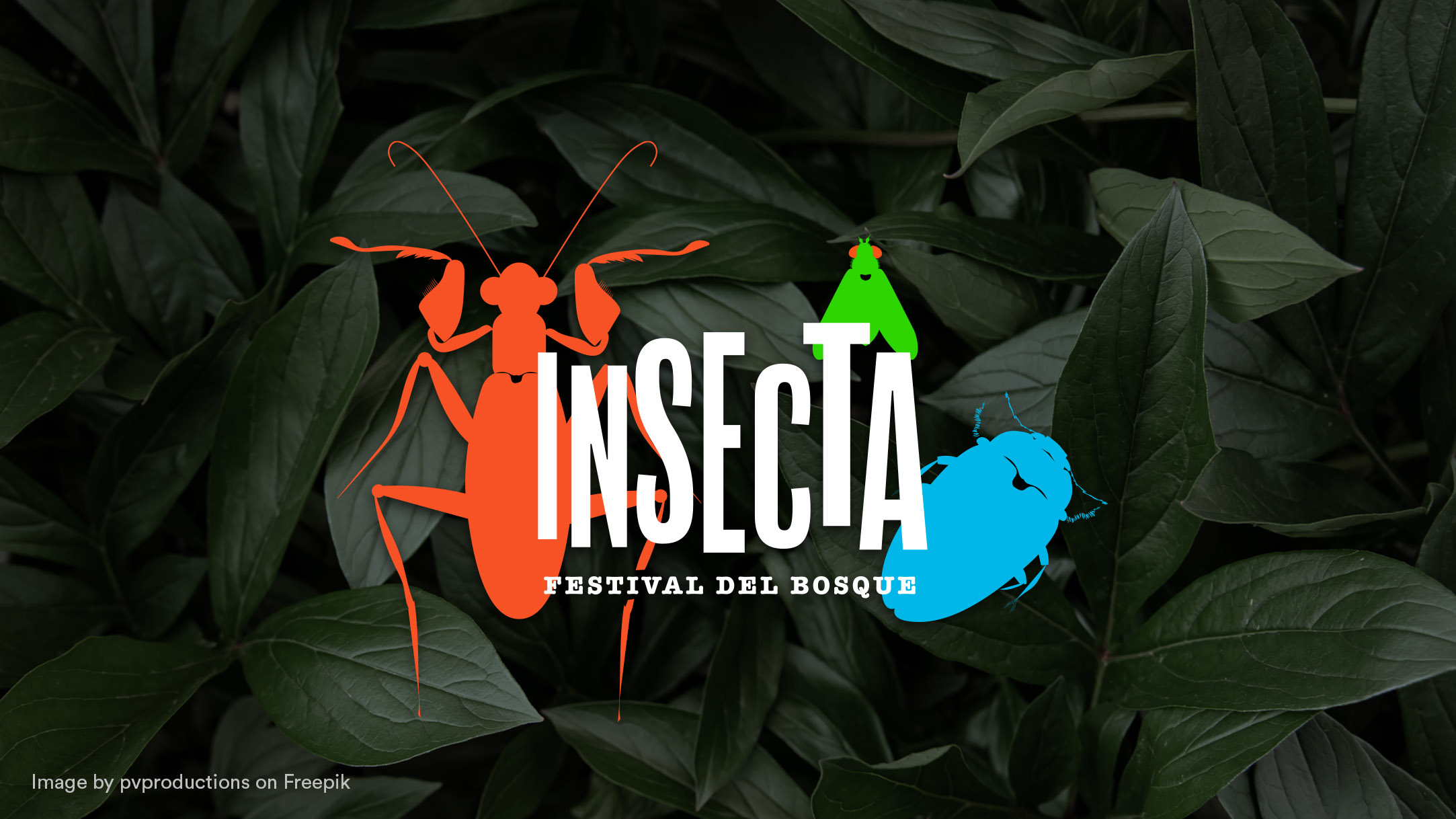 insecta cover