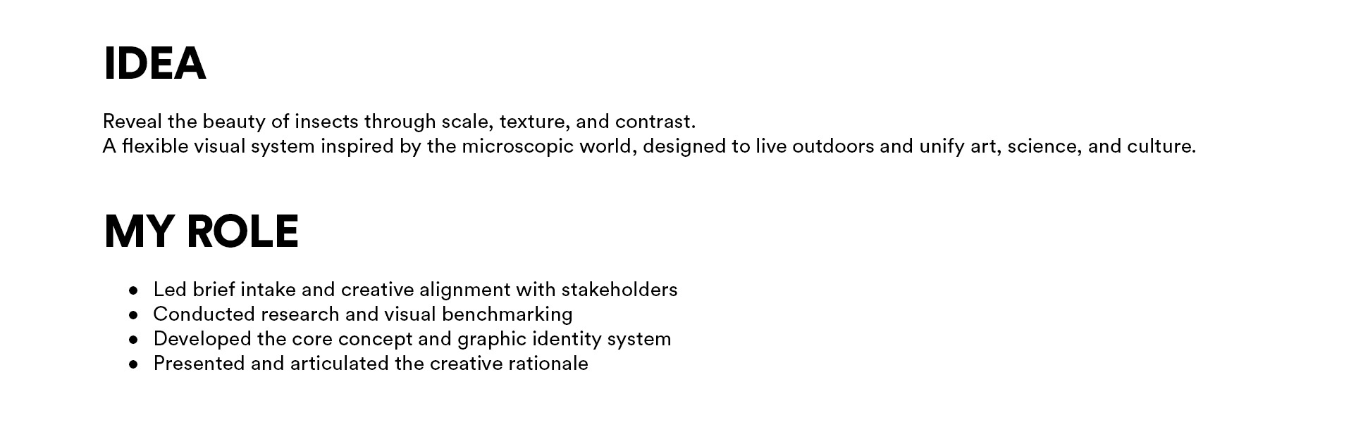 INSECTA–CARTONES-CASO_IDEA