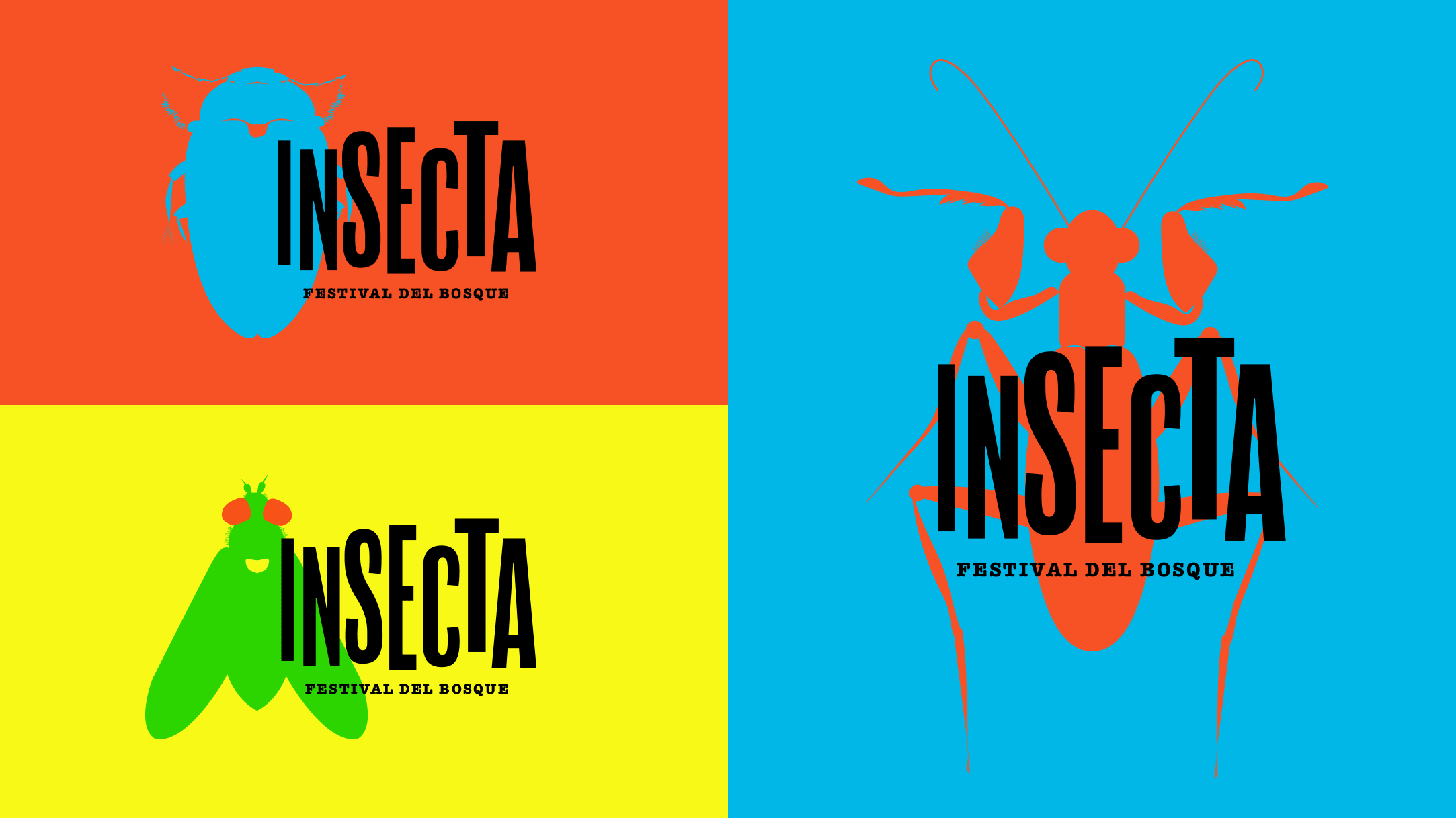 insecta-cartones-caso